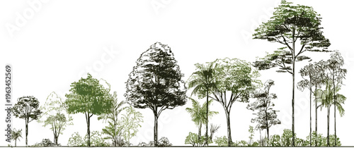 Diverse forest trees and foliage rendered in a sketchy artistic style with green and dark brown hues