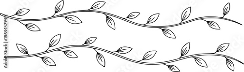 Black and white vine branches with leaves a white background decorative leaf plant