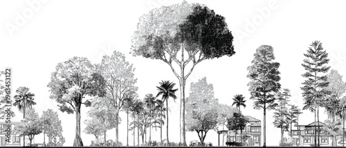 Black and white of diverse trees and houses in a landscape grayscale monochrome