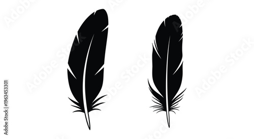 black feather icon, feather silhouette, white background