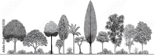 Black and white of diverse trees and foliage in a horizontal line monochrome