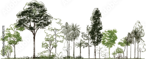 Diverse forest landscape with various trees and foliage in a sketched style green brown