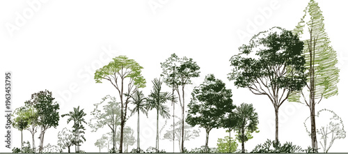 Diverse collection of hand drawn trees and foliage in various shades of green and brown against a white background 1