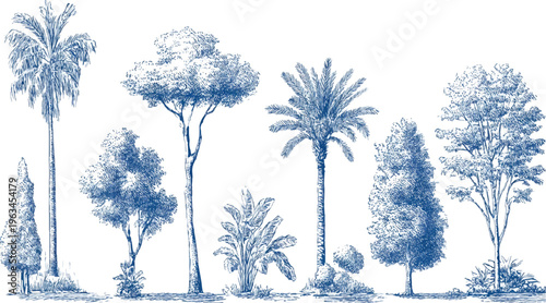 Collection of blue ink sketched tropical and deciduous trees with varied foliage and trunks on a white background
