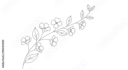 Elegant Blooming Flower Vine Line Art Vector Illustration with Leaves for Decorative Floral Design