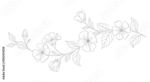 Floral Branch Vine with Leaves and Blooming Flowers Hand Drawn Line Art Vector Illustration