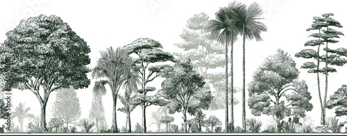 Diverse forest landscape with various trees and foliage in a detailed style nature