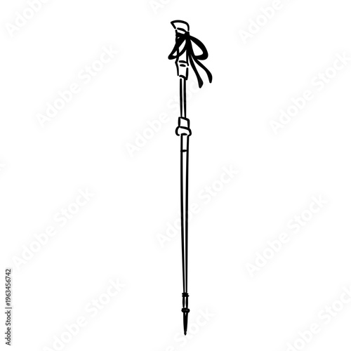 trekking hiking pole