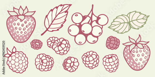 A collection of hand drawn berries and leaves in soft pink and green