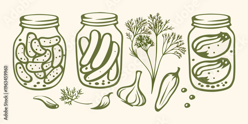 Illustration of pickled cucumbers garlic and dill in glass jars