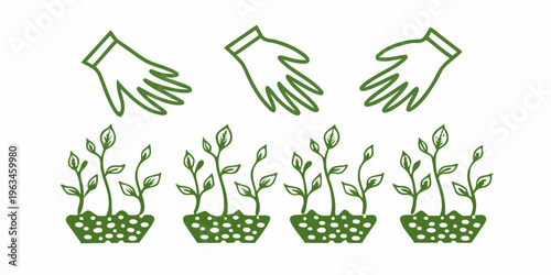 Hands nurturing seedlings a symbol of growth and environmental care