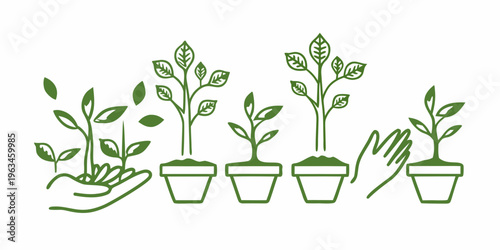 Growing plants in pots with a hand nurturing new life