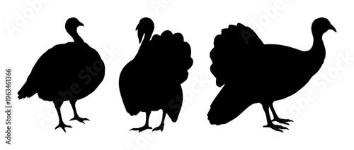 Turkey bird silhouette set with simple line art design featuring line art, illustrations, graphic resources with vector and design elements