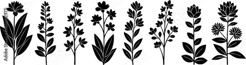 Collection of black silhouette floral stems with leaves and flowers white background