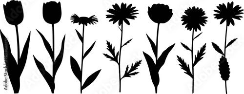 Collection of black flower silhouettes including tulips daisies and other botanical shapes white background
