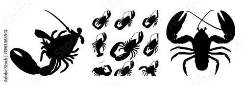 Lobster set with bold silhouette against single-color backdrop featuring marine, seafood, shellfish with black shape and vector illustration