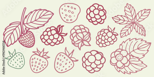 A collection of hand drawn berries and leaves in pink and green