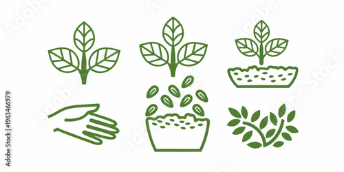 Illustration depicting plant growth stages from seed to mature leaf