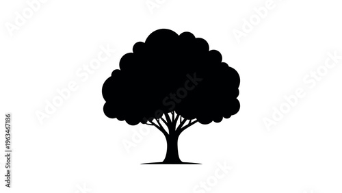 Black silhouette of a leafy tree white