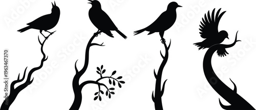 Bird silhouettes perched on tree branches isolated on white background, black vector illustration set of singing and resting birds for wildlife nature design