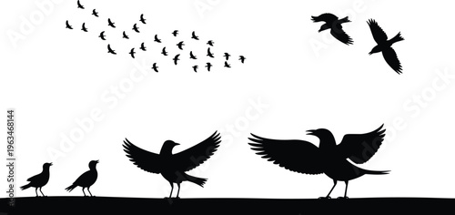 Bild auf Leinwand Bird silhouettes set with flying flock and perched birds isolated on white backg