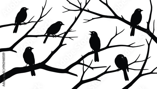 Bird silhouettes sitting on tree branches isolated on white background, black vector illustration of perched birds, wildlife nature scene for design and decoration