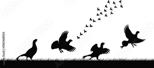 Bird silhouettes with flying flock and ground birds on grass isolated on white background, black vector illustration for wildlife, nature landscape, and migration design