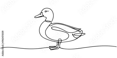 Cartoon duck bird illustration isolated on white background with wings and beak