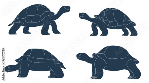 Four stylized illustrations of turtles in varying poses and angles against a white background