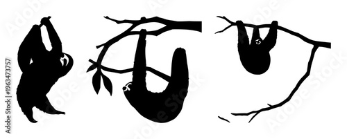 Hanging sloth silhouette set with a stylized tree branch composition featuring sloth, silhouette, single line art with black and white and minimalism