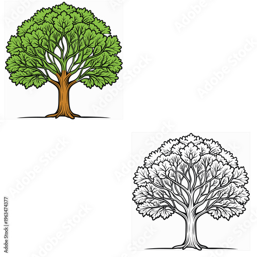 coloring book for page tree vector 