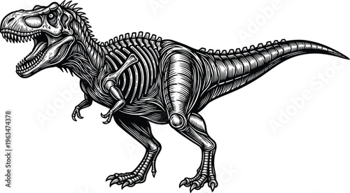 Detailed Tyrannosaurus Rex Illustration with Skeletal Anatomy Vector Clipart Isolated on White Background for Paleontology Science Museum