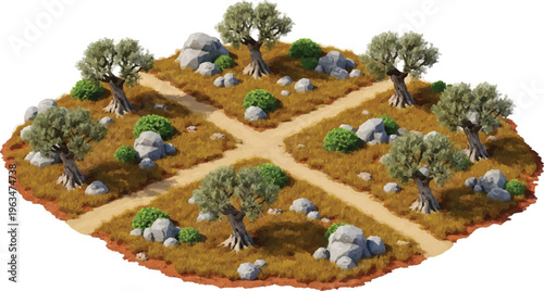 Isometric olive grove landscape with ancient trees and dirt paths, Mediterranean orchard garden with rocks and dry grass, rural farm plantation vector for game design isolated PNG with