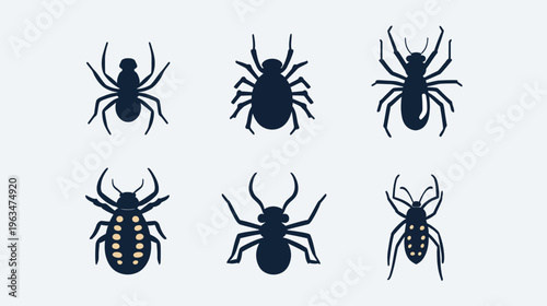 Silhouetted insect illustrations. Six unique bug silhouettes with varying leg and body shapes