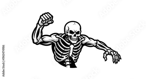 Strong muscular skeleton flexing its arm in a powerful pose on an isolated white background.