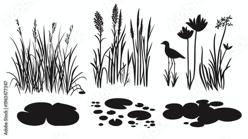 Silhouetted illustration depicts marsh plants, water lilies and reeds. A bird stands nearby