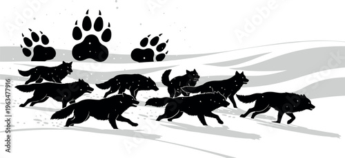 Running wolf pack silhouette with paw prints in wild nature landscape black wildlife animal illustration design