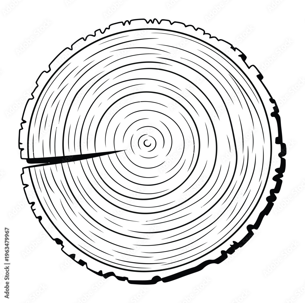Fototapeta premium Tree Stump Vector Illustration with Annual Growth Rings