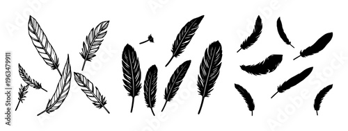 Feather icons set with black feather illustrations featuring vector, line art, minimal clean design with icons and symbols