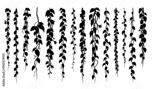 Tropical vine and liana vector set with rainforest leaves and botanical elements