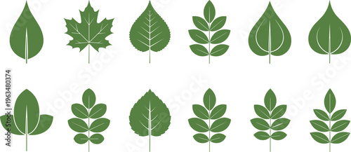 Green Leaf Icon Collection Featuring Various Botanical Shapes and Plant Elements in Flat Minimal Nature Vector Design Set