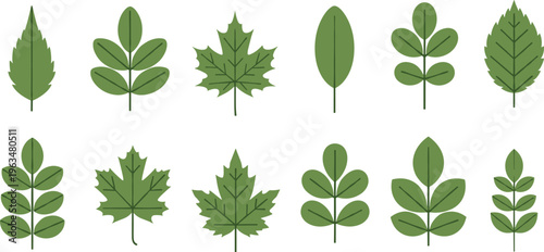 Green Leaf Icon Set with Flat Vector Illustrations of Maple, Oak, and Foliage Elements for Nature Branding, Environmental Projects, and Seasonal Designs