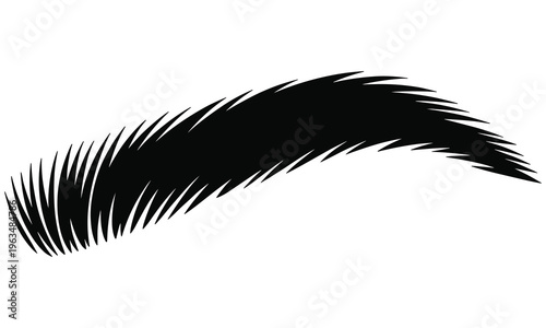 Vector illustration of a single black eyebrow with detailed hair strands