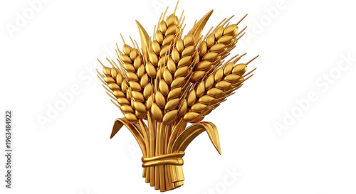 a bundle of ripe wheat stalks tied together isolated on white background, illustration