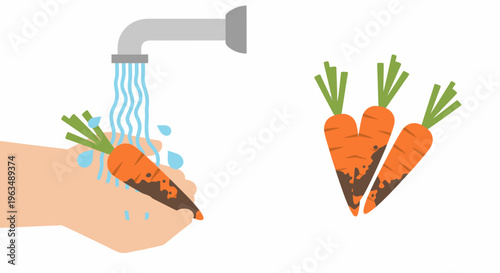 Fresh carrots being washed clean.