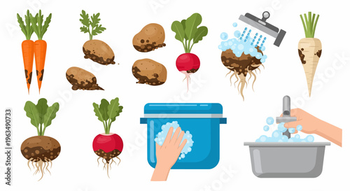 Vegetables and root vegetables collection.