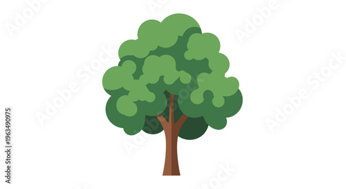 Simple illustration of a lush green tree with a brown trunk