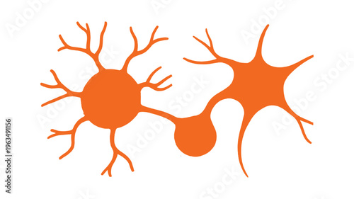 Illustration of two interconnected nerve cells or neurons