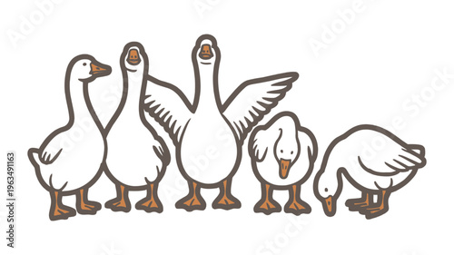 Group of cute white geese standing together, cartoon vector illustration
