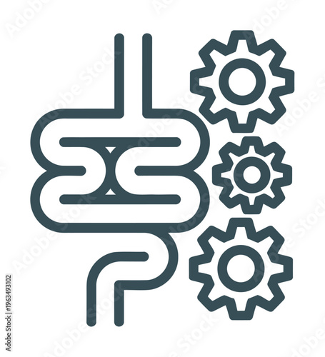Of Intestines and Gears Representing Digestive System Functionality